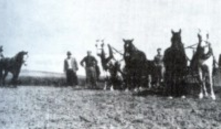 3. fotografia fotogalérie História